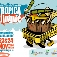 AFFICHE TROPICADINGUE 2024 (1)